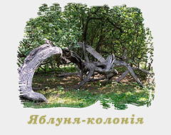 "������-�������" - ��������� ���'���� ������� ��������-���������� ��������. ���������, ������� ���.