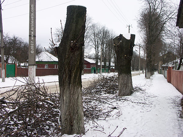 ���������, ������� �������, ������. ������ � ����� ���� �� �����, �� ��������� ���� �����