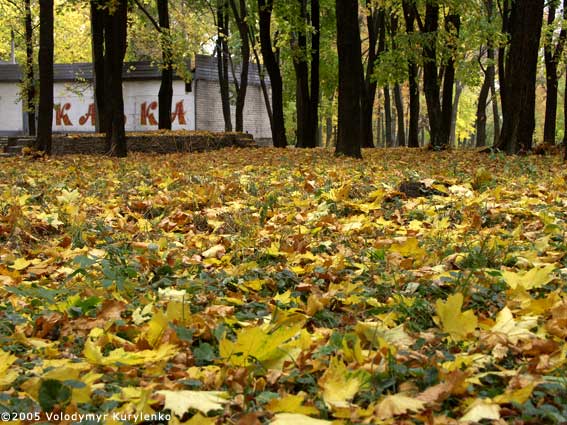 ���������, ������� �������, ������. ������ � ����� ���� �� �����, �� ��������� ���� �����