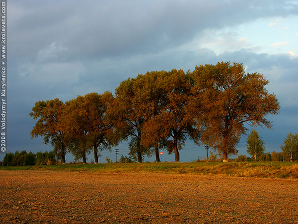 ���������, ������� �������, ������. ������ � ����� ���� �� �����, �� ��������� ���� �����