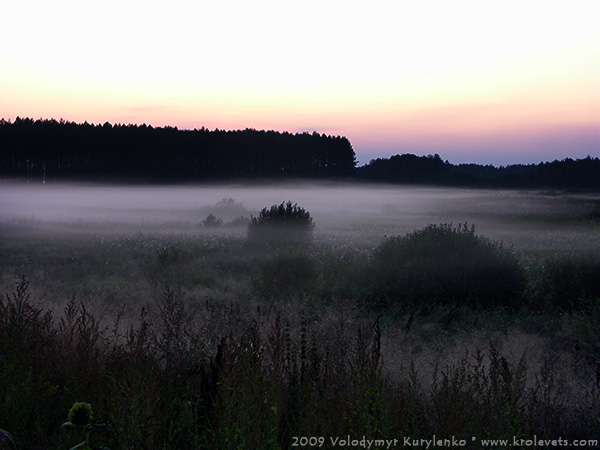 ���������, ������� �������, ������. ������ � ����� ���� �� �����, �� ��������� ���� �����