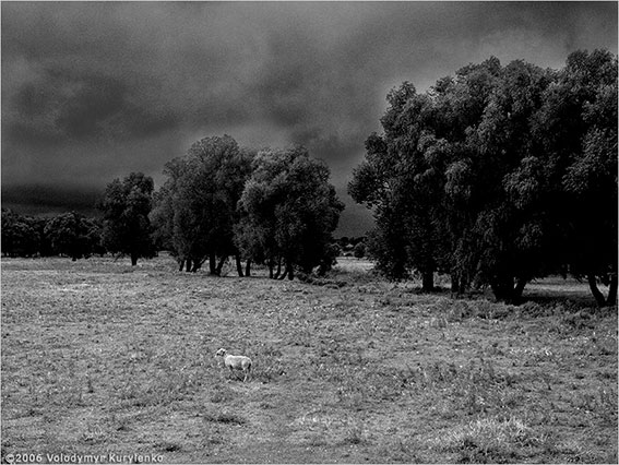 ���������, ������� �������, ������. ������ � ����� ���� �� �����, �� ��������� ���� �����