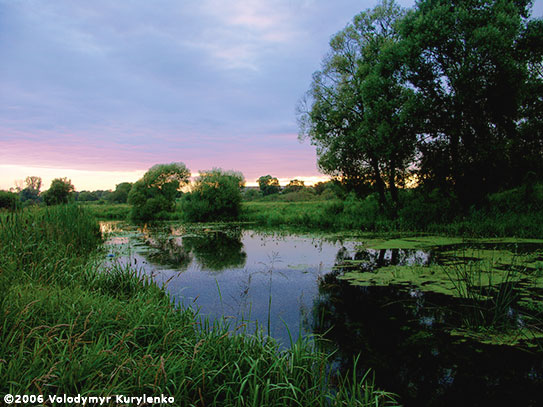 ���������, ������� �������, ������. ������ � ����� ���� �� �����, �� ��������� ���� �����