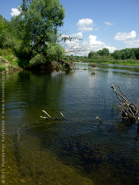 ���������, ������� �������, ������. ������ � ����� ���� �� �����, �� ��������� ���� �����