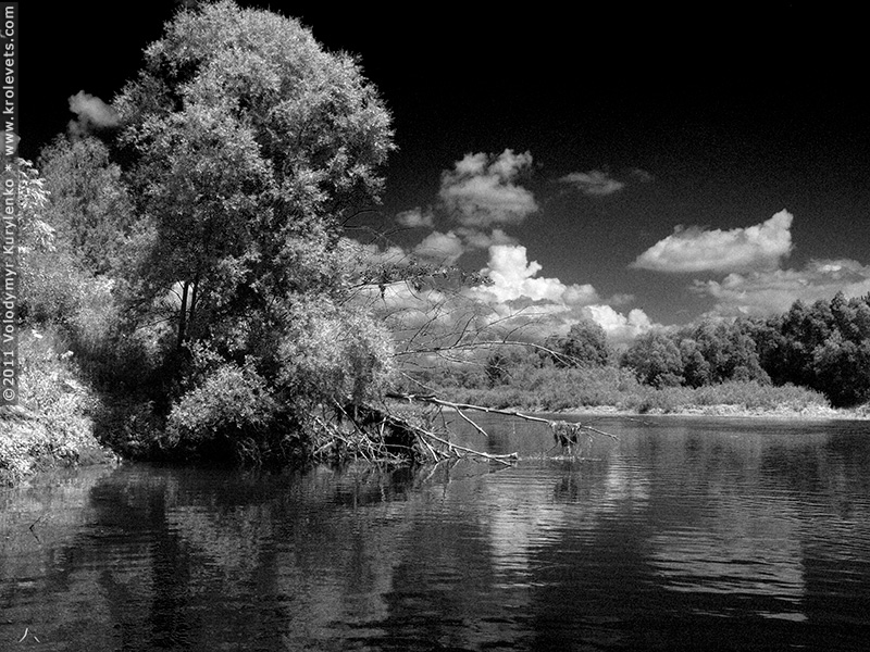 ���������, ������� �������, ������. ������ � ����� ���� �� �����, �� ��������� ���� �����