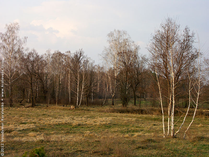 ���������, ������� �������, ������. ������ � ����� ���� �� �����, �� ��������� ���� �����