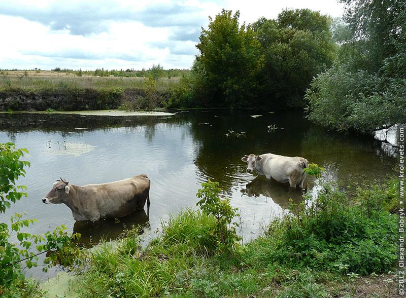 ���������, ������� �������, ������. ������ � ����� ���� �� �����, �� ��������� ���� �����