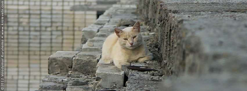 ���������, ������� �������, ������. ������ � ����� ���� �� �����, �� ��������� ���� �����