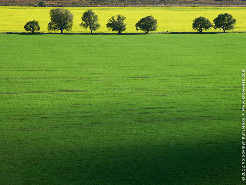 ���������, ������� �������, ������. ������ � ����� ���� �� �����, �� ��������� ���� �����