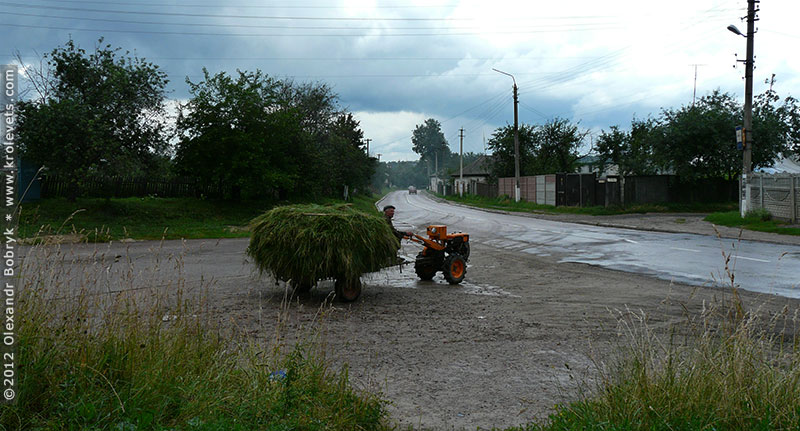 ���������, ������� �������, ������. ������ � ����� ���� �� �����, �� ��������� ���� �����