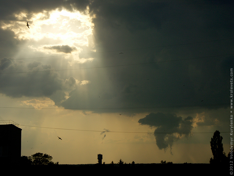 ���������, ������� �������, ������. ������ � ����� ���� �� �����, �� ��������� ���� �����