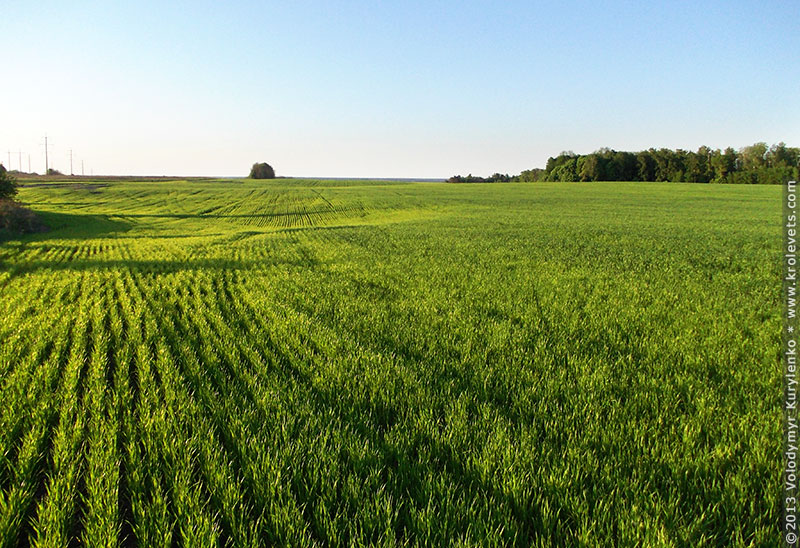 ���������, ������� �������, ������. ������ � ����� ���� �� �����, �� ��������� ���� �����