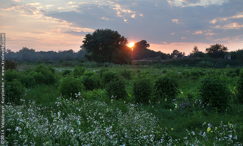 ���������, ������� �������, ������. ������ � ����� ���� �� �����, �� ��������� ���� �����