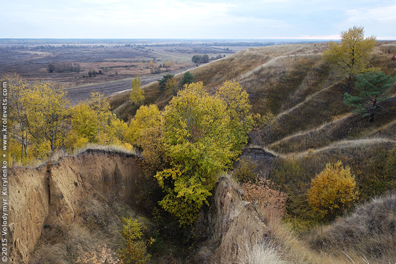 ���������, ������� �������, ������. ������ � ����� ���� �� �����, �� ��������� ���� �����