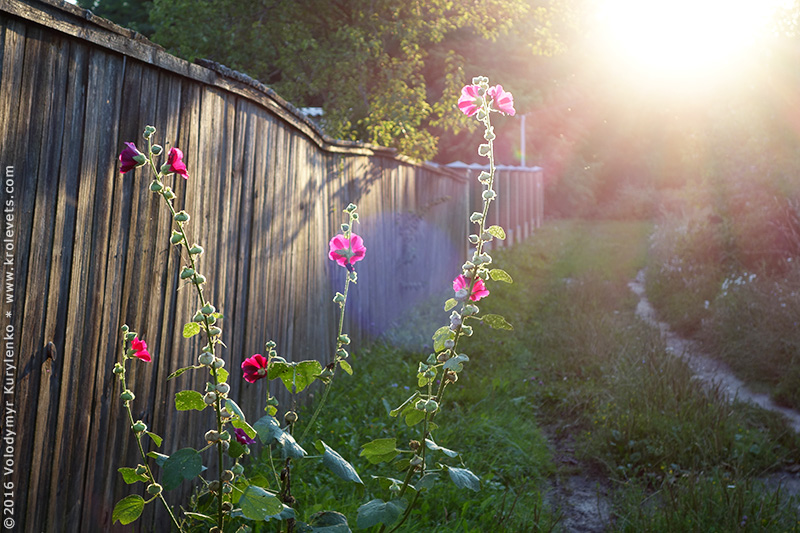 ���������, ������� �������, ������. ������ � ����� ���� �� �����, �� ��������� ���� �����