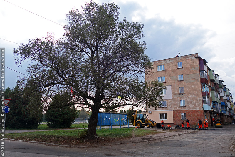 ���������, ������� �������, ������. ������ � ����� ���� �� �����, �� ��������� ���� �����