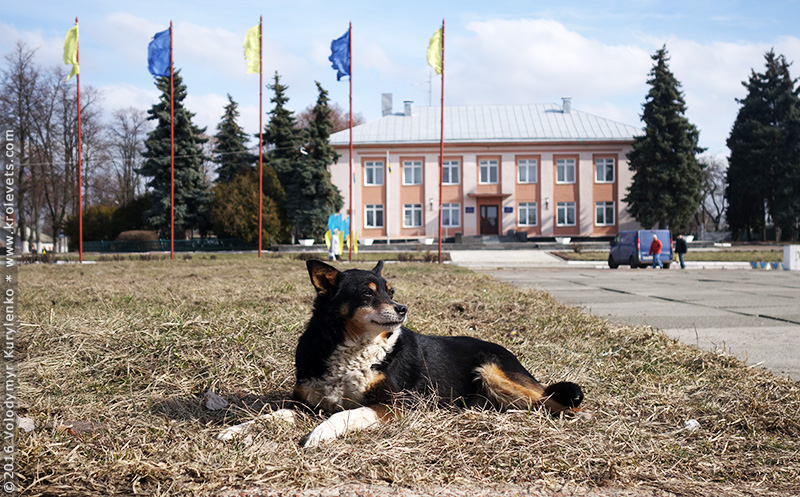 ���������, ������� �������, ������. ������ � ����� ���� �� �����, �� ��������� ���� �����