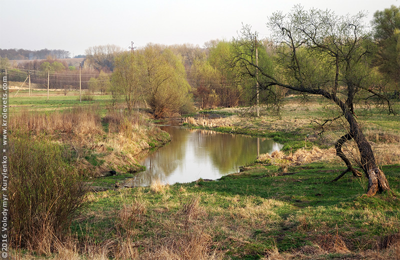 ���������, ������� �������, ������. ������ � ����� ���� �� �����, �� ��������� ���� �����