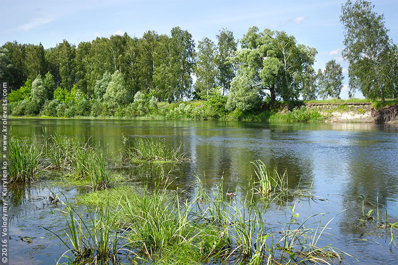 ���������, ������� �������, ������. ������ � ����� ���� �� �����, �� ��������� ���� �����