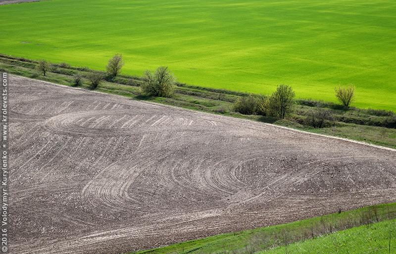 ���������, ������� �������, ������. ������ � ����� ���� �� �����, �� ��������� ���� �����