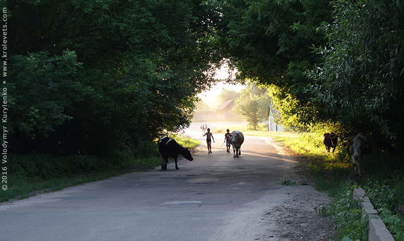 ���������, ������� �������, ������. ������ � ����� ���� �� �����, �� ��������� ���� �����