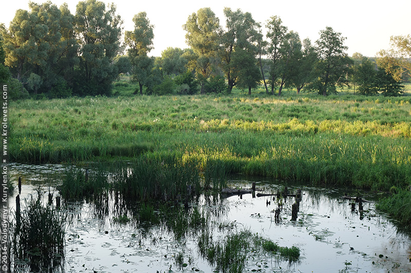 ���������, ������� �������, ������. ������ � ����� ���� �� �����, �� ��������� ���� �����