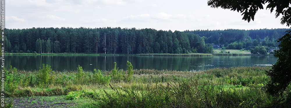 ���������, ������� �������, ������. ������ � ����� ���� �� �����, �� ��������� ���� �����