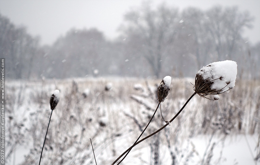 ���������, ������� �������, ������. ������ � ����� ���� �� �����, �� ��������� ���� �����