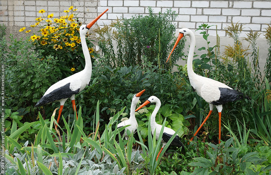 ���������, ������� �������, ������. ������ � ����� ���� �� �����, �� ��������� ���� �����