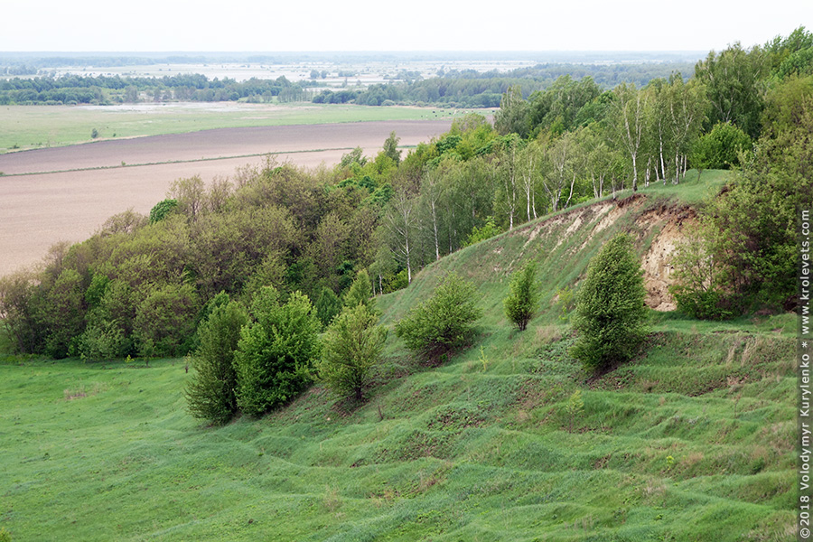 ���������, ������� �������, ������. ������ � ����� ���� �� �����, �� ��������� ���� �����