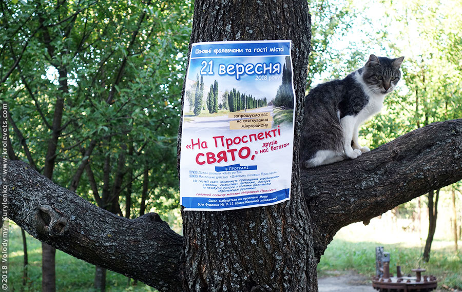 ���������, ������� �������, ������. ������ � ����� ���� �� �����, �� ��������� ���� �����