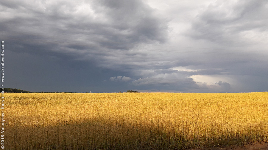 ���������, ������� �������, ������. ������ � ����� ���� �� �����, �� ��������� ���� �����