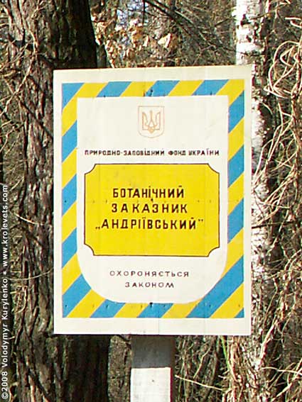 ���������, ������� �������, ������. ������ � ����� ���� �� �����, �� ��������� ���� �����