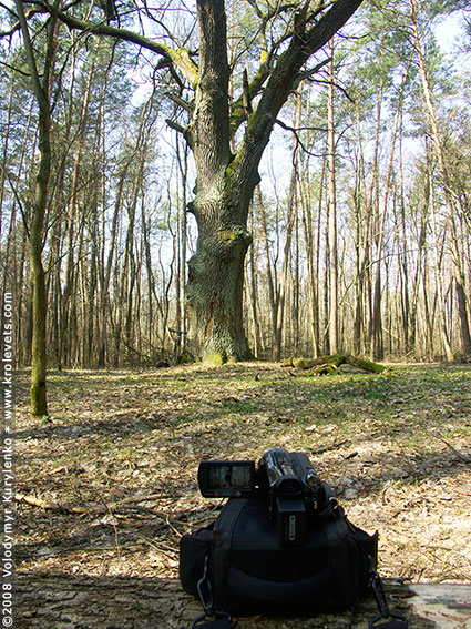 ���������, ������� �������, ������. ������ � ����� ���� �� �����, �� ��������� ���� �����