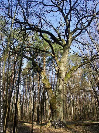 ���������, ������� �������, ������. ������ � ����� ���� �� �����, �� ��������� ���� �����