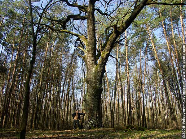 ���������, ������� �������, ������. ������ � ����� ���� �� �����, �� ��������� ���� �����