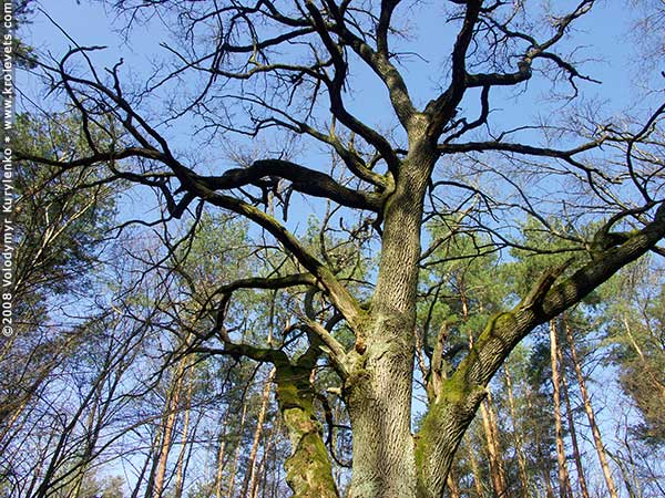 ���������, ������� �������, ������. ������ � ����� ���� �� �����, �� ��������� ���� �����