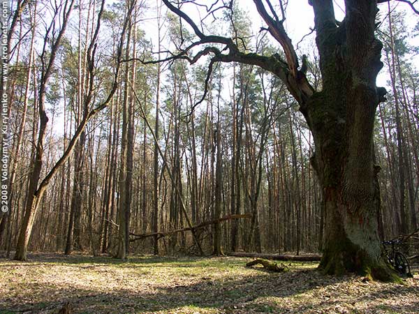 ���������, ������� �������, ������. ������ � ����� ���� �� �����, �� ��������� ���� �����