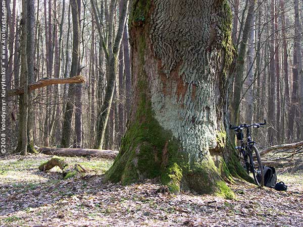 ���������, ������� �������, ������. ������ � ����� ���� �� �����, �� ��������� ���� �����