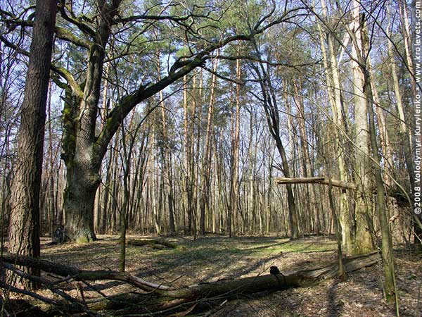 ���������, ������� �������, ������. ������ � ����� ���� �� �����, �� ��������� ���� �����