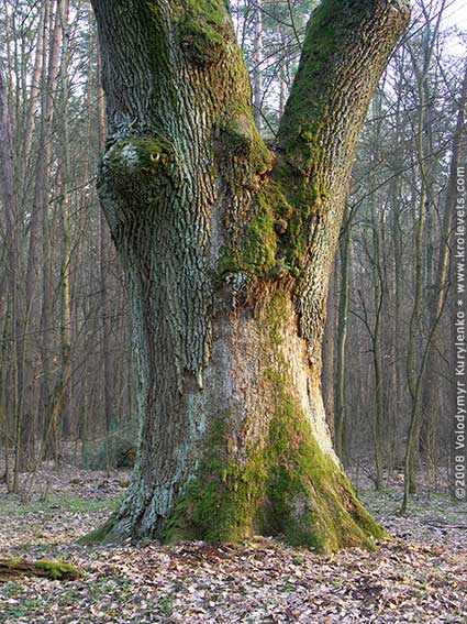 ���������, ������� �������, ������. ������ � ����� ���� �� �����, �� ��������� ���� �����