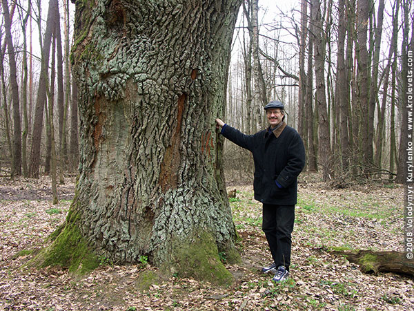 ���������, ������� �������, ������. ������ � ����� ���� �� �����, �� ��������� ���� �����