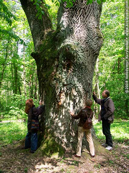 ���������, ������� �������, ������. ������ � ����� ���� �� �����, �� ��������� ���� �����