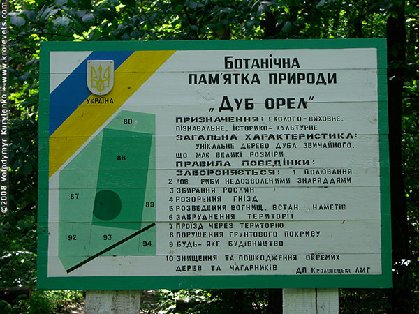 ���������, ������� �������, ������. ������ � ����� ���� �� �����, �� ��������� ���� �����