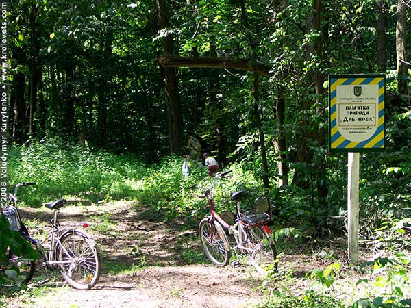 ���������, ������� �������, ������. ������ � ����� ���� �� �����, �� ��������� ���� �����