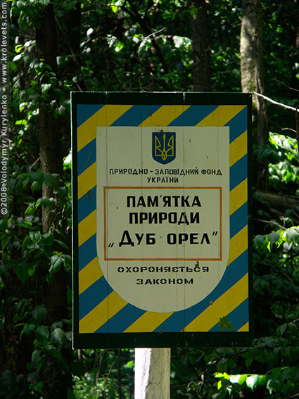 ���������, ������� �������, ������. ������ � ����� ���� �� �����, �� ��������� ���� �����