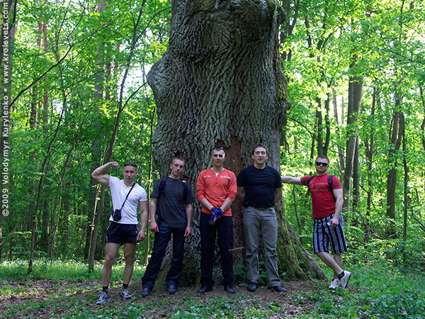 ���������, ������� �������, ������. ������ � ����� ���� �� �����, �� ��������� ���� �����