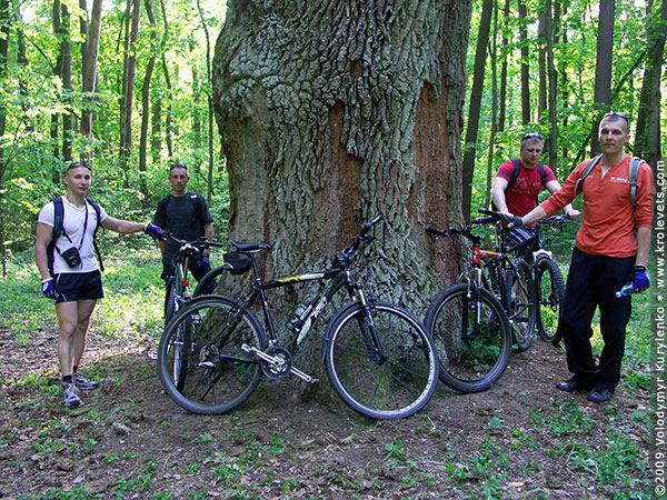 ���������, ������� �������, ������. ������ � ����� ���� �� �����, �� ��������� ���� �����