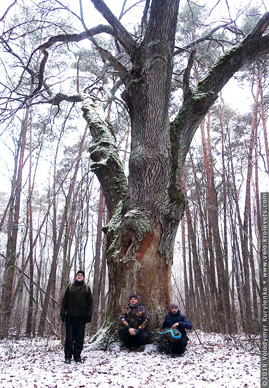 ���������, ������� �������, ������. ������ � ����� ���� �� �����, �� ��������� ���� �����