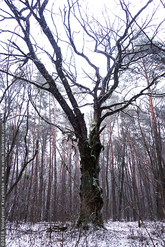 ���������, ������� �������, ������. ������ � ����� ���� �� �����, �� ��������� ���� �����